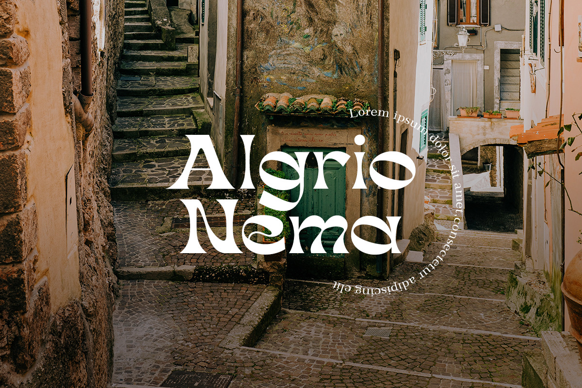 Wasely Modern Classic Font, a Serif Font by Muntab_Art (Photo 2 of 11)