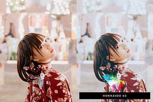 50 Japan Mood Lightroom Presets LUTs