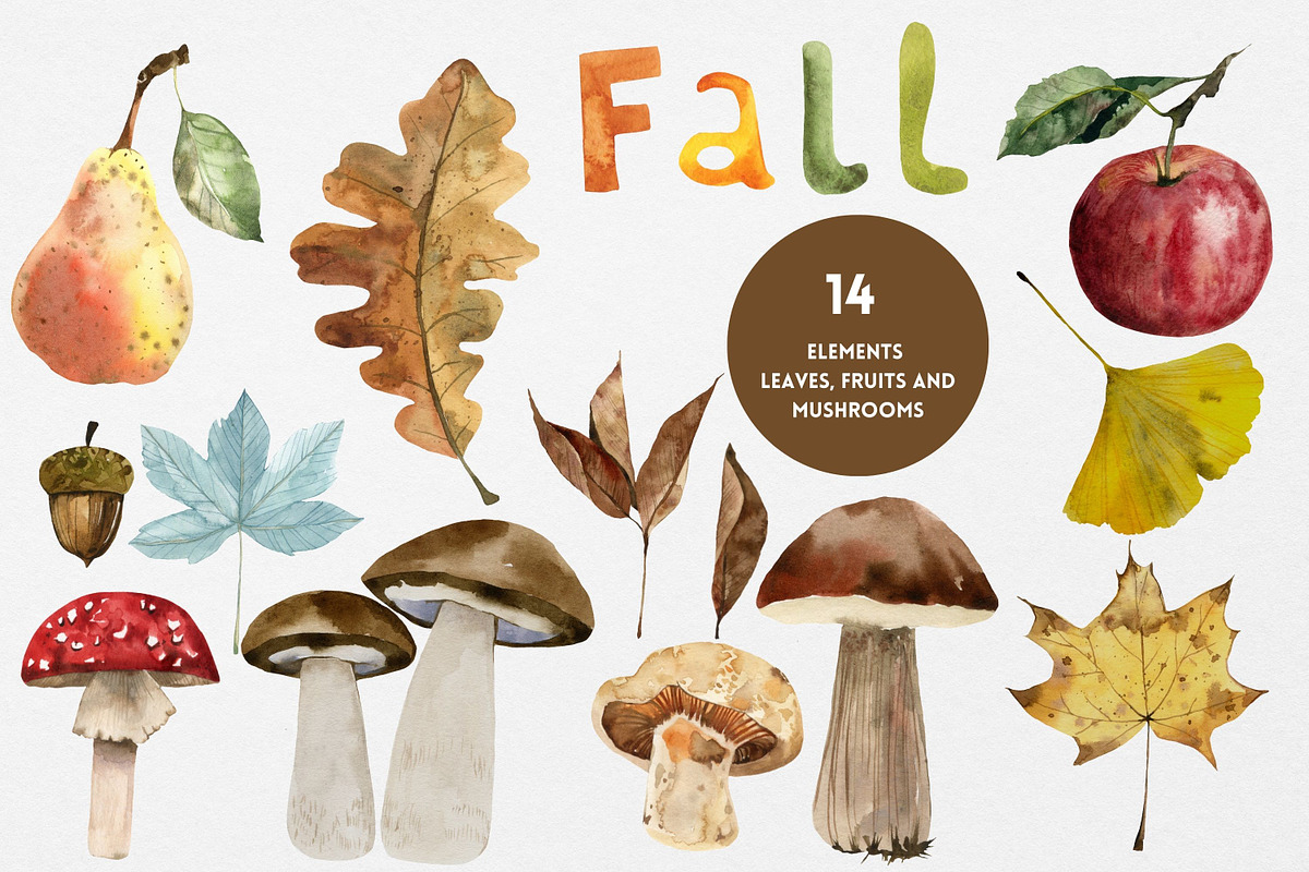 Autumn watercolor clipart pumpkins, an Animal Illustration by Artcard Watercolor (Photo 6 of 15)