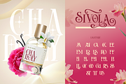 Sivola, a Serif Font by Burntilldead (Thumbnail 5 of 12)