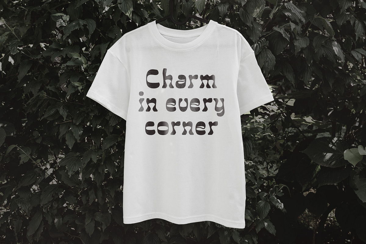 CS Lamont Drawn, a Serif Font by Craft Supply Co. (Photo 7 of 8)