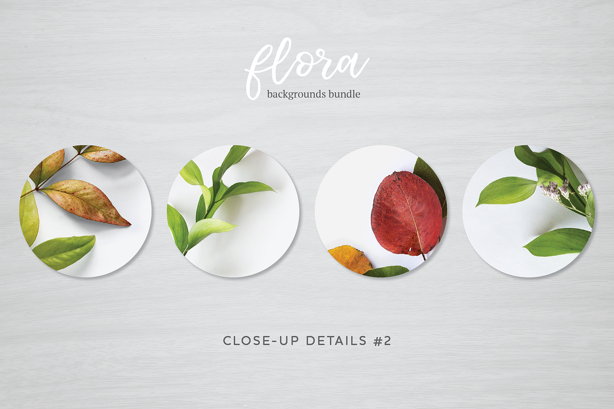 Flora Backgrounds Bundle, a Social Media Template by Julia Jane Creative (Photo 4 of 6)
