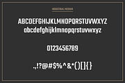 Industrial Font Collection, a Sans Serif Font by Grid Based Design (Thumbnail 6 of 8)