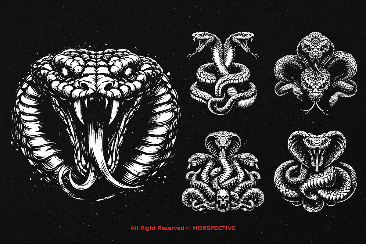 10 Bundle Dark Art Viper Snakes, an Illustration by Morspective (Photo 3 of 7)