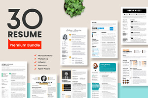 CLEAN RESUME BUNDLE - 30 TEMPLATES