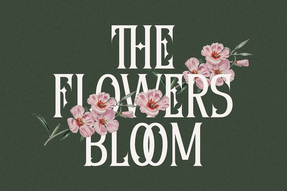 Diomeca - Romantic Gothic Typeface, a Blackletter Font by Imoodev (Photo 2 of 5)