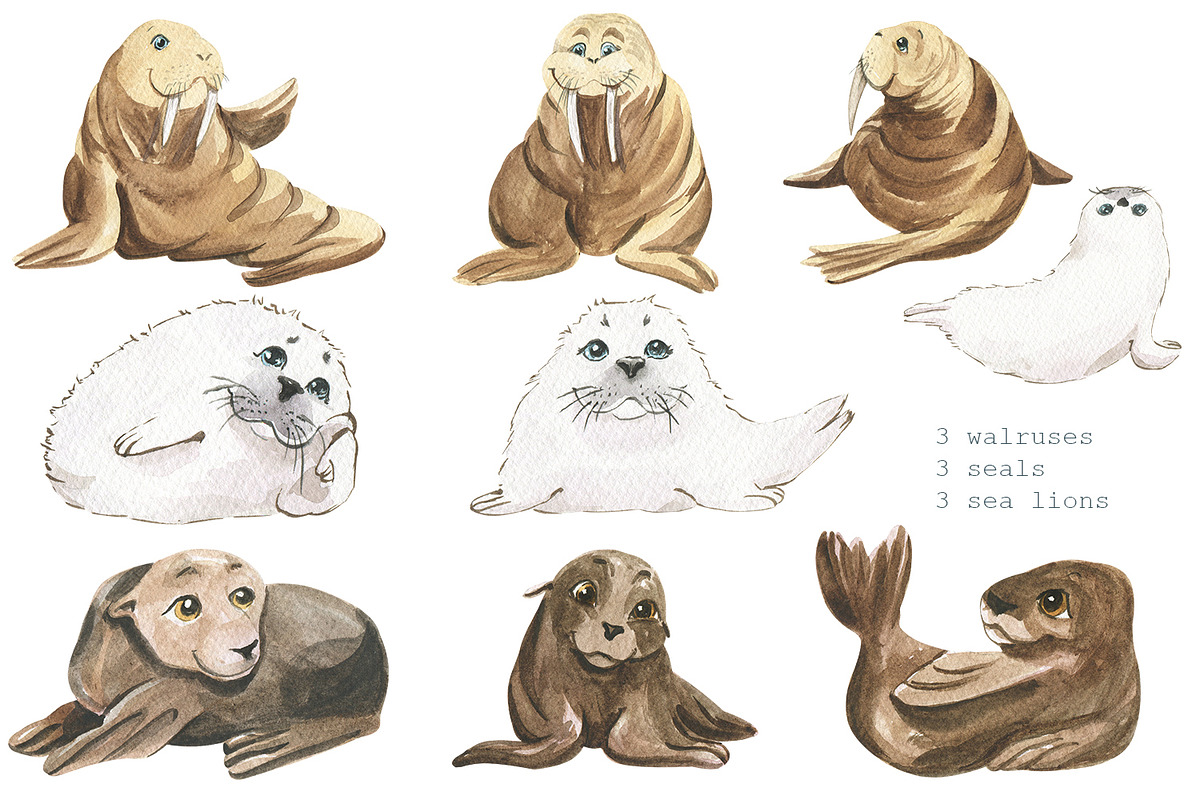 Animals of the Arctic Ocean, an Illustration by Love Watercolor Store (Photo 4 of 8)
