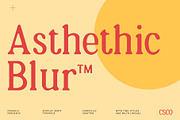 Asthetic Blur, a Serif Font by Craft Supply Co. (Thumbnail 1 of 8)
