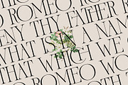 French Voyager - Chic Ligature Serif, a Serif Font by SilverStag Type Foundry (Thumbnail 22 of 23)