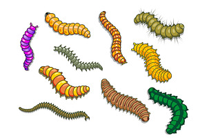 Cartoon Worms