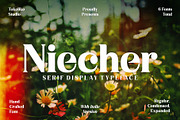 Niecher-Serif Display, a Serif Font by takoliko (Thumbnail 1 of 13)