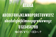 Ataria - Modern Condensed Sans, a Sans Serif Font by TypeLogue (Thumbnail 4 of 5)