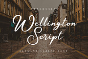 Wellington Script, a Script Font by Debut Studio (Thumbnail 1 of 8)