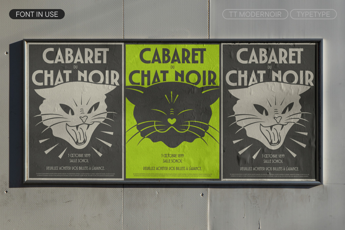 TT Modernoir, a Sans Serif Font by TypeType (Photo 6 of 15)