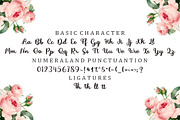 Sonika Script, a Script Font by Bosstype Studio (Thumbnail 5 of 8)