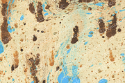 Watercolor bark paper, a Texture Graphic by le-genda (Thumbnail 5 of 15)