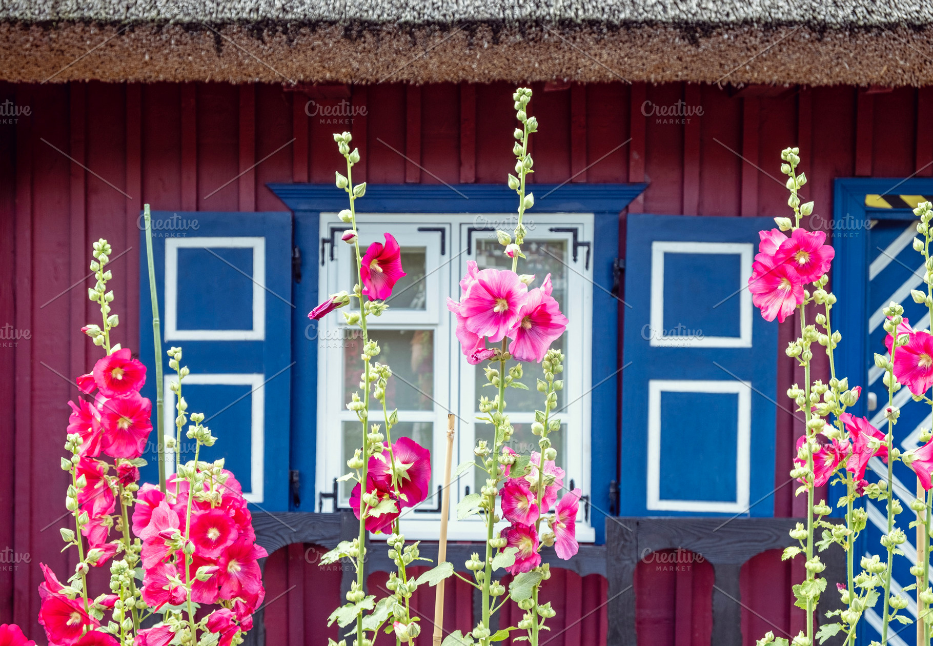 Flowers and ethnographic house, an Architecture Photo by BOOCYS