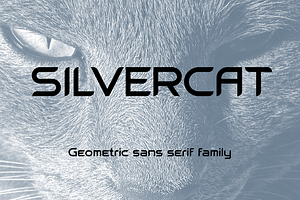 Silvercat Font Family