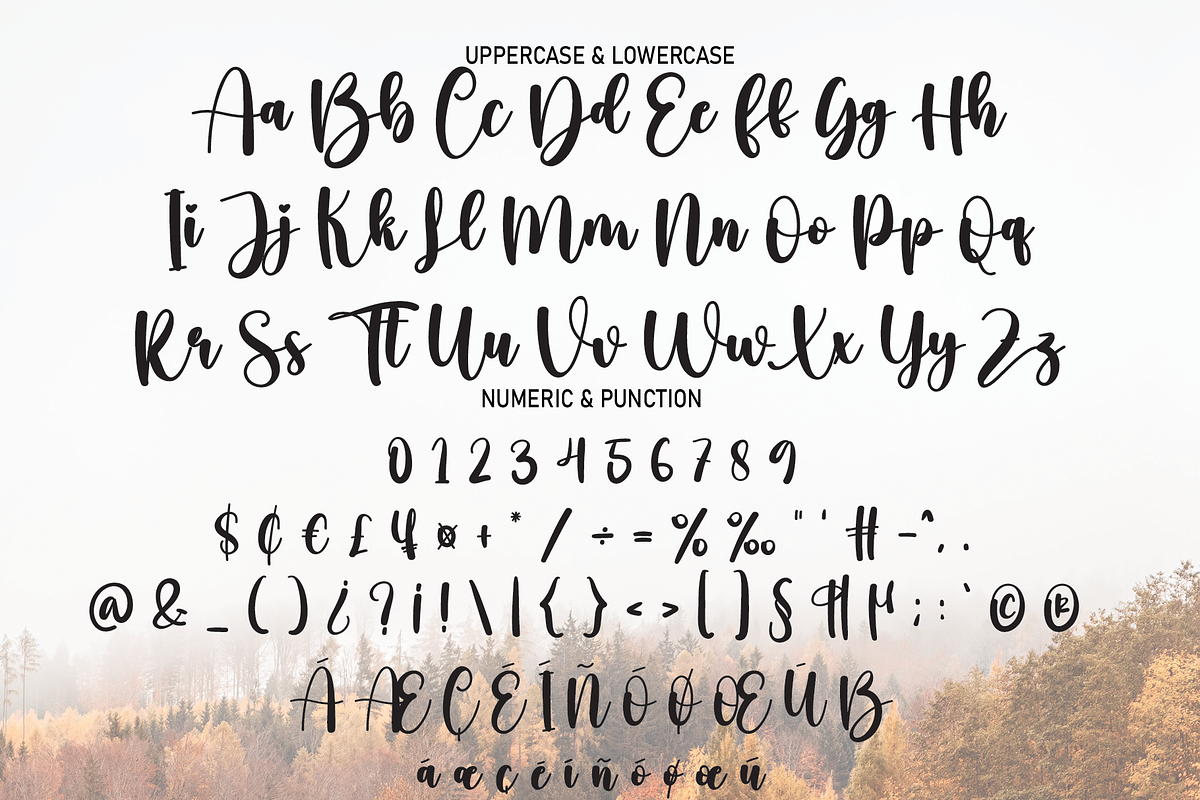 Hello Autumn | Script Font, a Script Font by Scratchones (Photo 3 of 8)