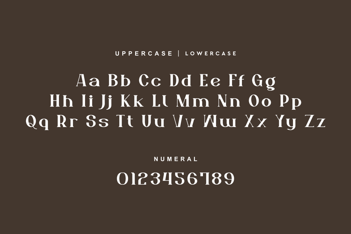 Aesthetic Mofash - Luxury Bold Font, a Serif Font by QR Design Studio (Photo 9 of 13)