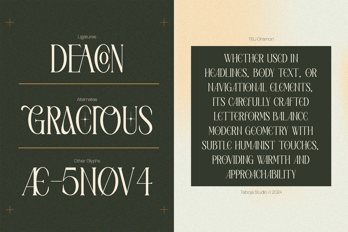 Elegant Condensed Volume 4, a Serif Font by Taboja Studio (Photo 6 of 22)