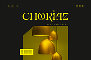 Erakov - Retro Modern Serif Display, a Serif Font by Namara Creative Studio (Thumbnail 5 of 9)