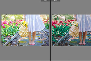 Spring Lightroom & Mobile Preset