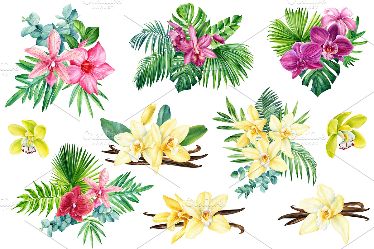 Orchid flowers watercolor, a Decorative Illustration by Hanna Hryharenka (Photo 4 of 9)