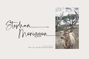 Northeast Oregon, a Script Font by Nathatype (Thumbnail 7 of 10)