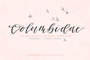 Columbidae Elegant Calligraphy Font, a Script Font by The Pigeon Letters (Thumbnail 1 of 11)