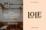 Moonsclare Feminine Type, a Serif Font by Artiveko (Thumbnail 5 of 8)