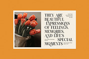 Moner Elegant Serif Font, a Serif Font by Perfectype (Thumbnail 3 of 8)