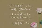 Puertofino - Modern Handwritten, a Script Font by Typehand Studio (Thumbnail 4 of 8)