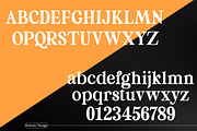Britania Vintage, a Serif Font by Max.co Studio (Thumbnail 5 of 13)
