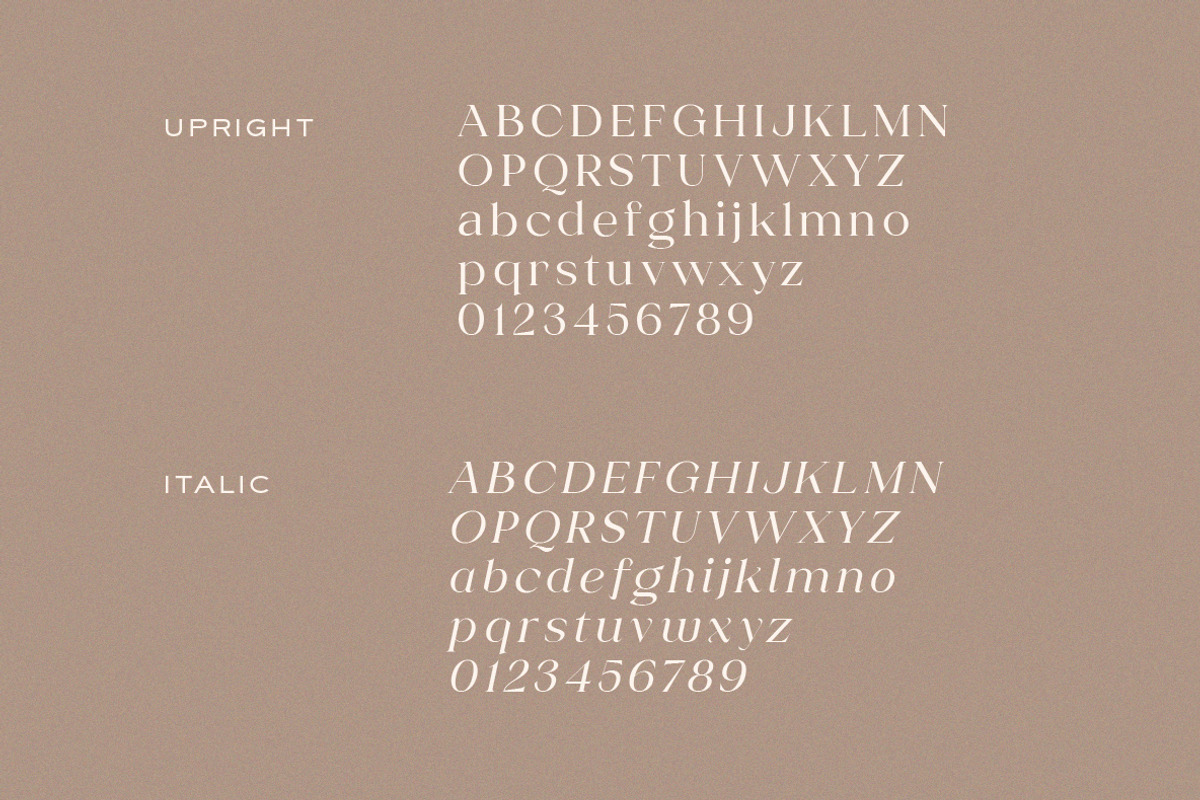 Shavina Serif Typeface, a Serif Font by Yukita Creative (Photo 7 of 9)