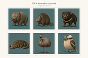 NZ & Australian Animals, Set 20, an Animal Illustration by LanternkinStudio (Thumbnail 7 of 12)