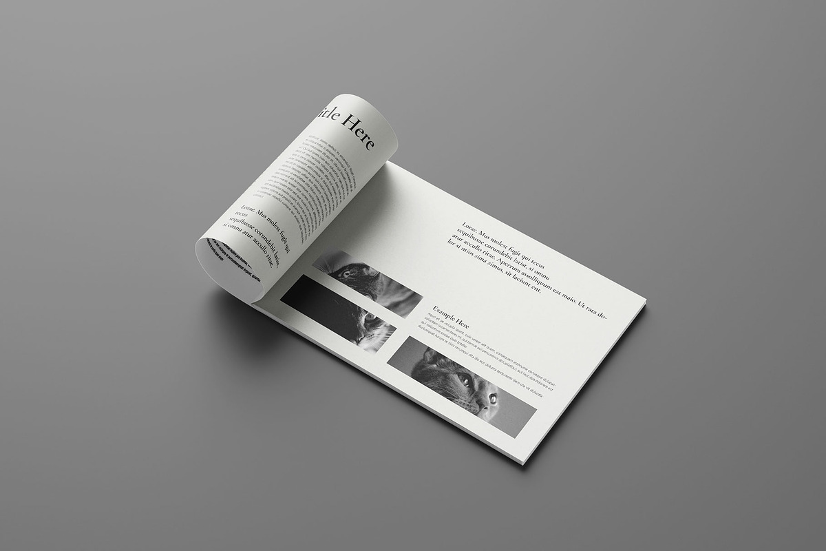 Book Title Landscape Layout, a Brochure Template by Seeing-art (Photo 6 of 13)