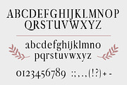 Aventure| graceful serif font, a Serif Font by wowomnom (Thumbnail 2 of 4)