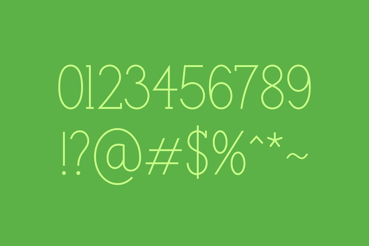 Newbie, a Serif Font by HalfAwakeJake (Photo 5 of 7)