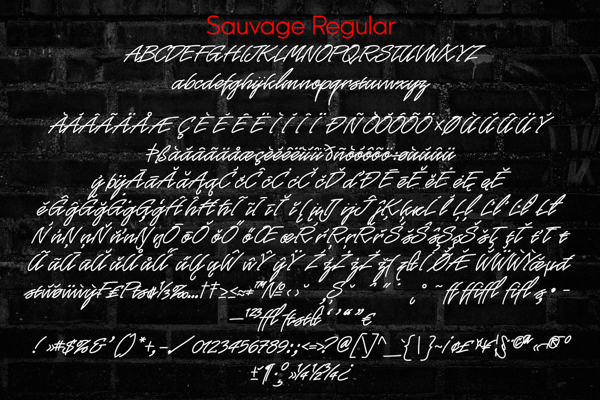 Sauvage - Monoline Script Family, a Script Font by Jvne77 (Photo 6 of 6)