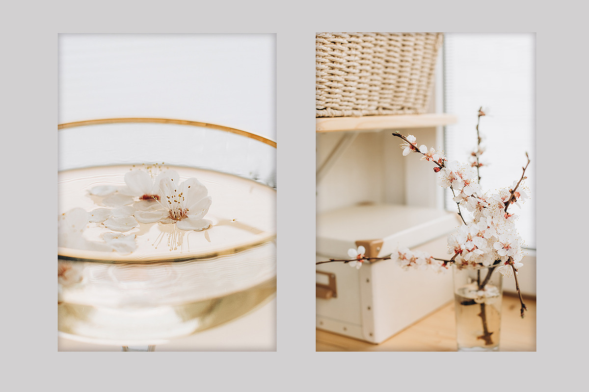 Spring Blossom Bundle, a Nature Photo by akovtun (Photo 5 of 6)