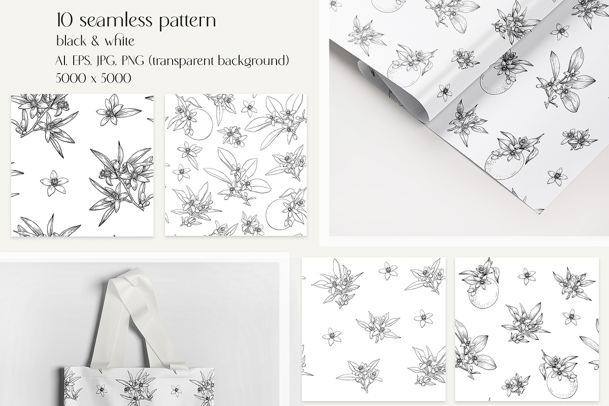 Flowers Neroli. Vector Botanical set, an Object Graphic by ON_lineart_store (Photo 9 of 10)