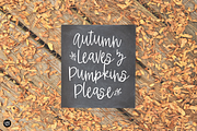 HAYRIDE DAYS Fall Script Font, a Script Font by Blush Font Co. (Thumbnail 3 of 6)