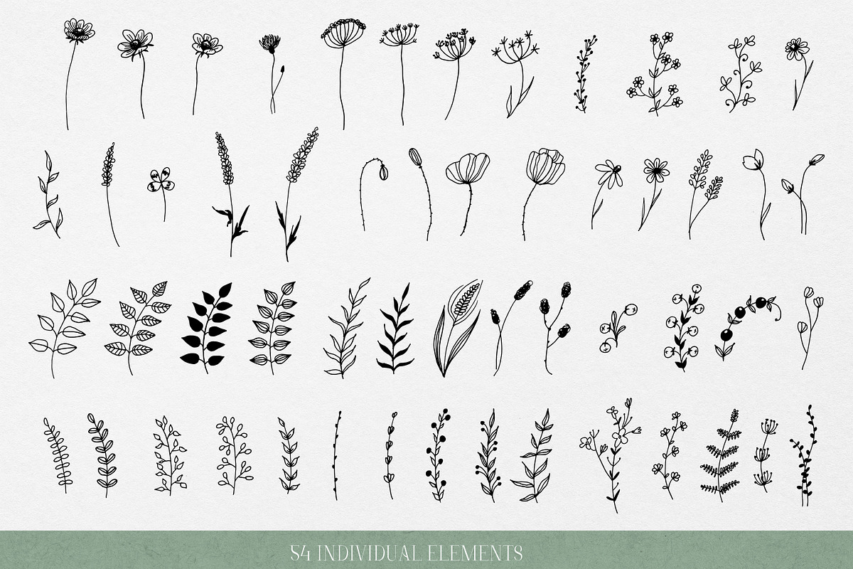 Hand drawn doodle wildflowers, a Decorative Illustration by Graphic Soul (Photo 3 of 5)