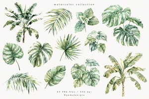 Watercolor Tropical Plants