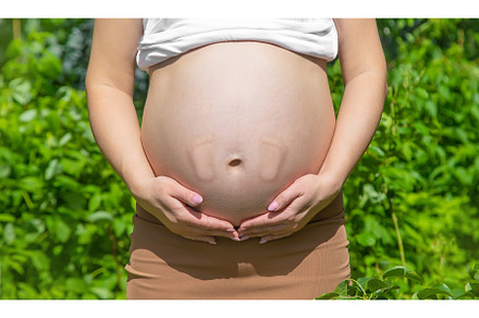 Belly of a pregnant woman legs baby, a Person Photo by yanadjana