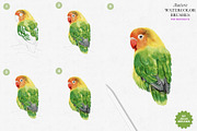 Real Watercolor Procreate Brushes, a Brush Add-On by Julia Dreams (Thumbnail 4 of 11)