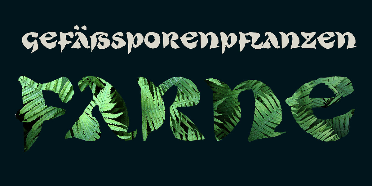 Byzan, a Script Font by Finaltype (Photo 9 of 11)