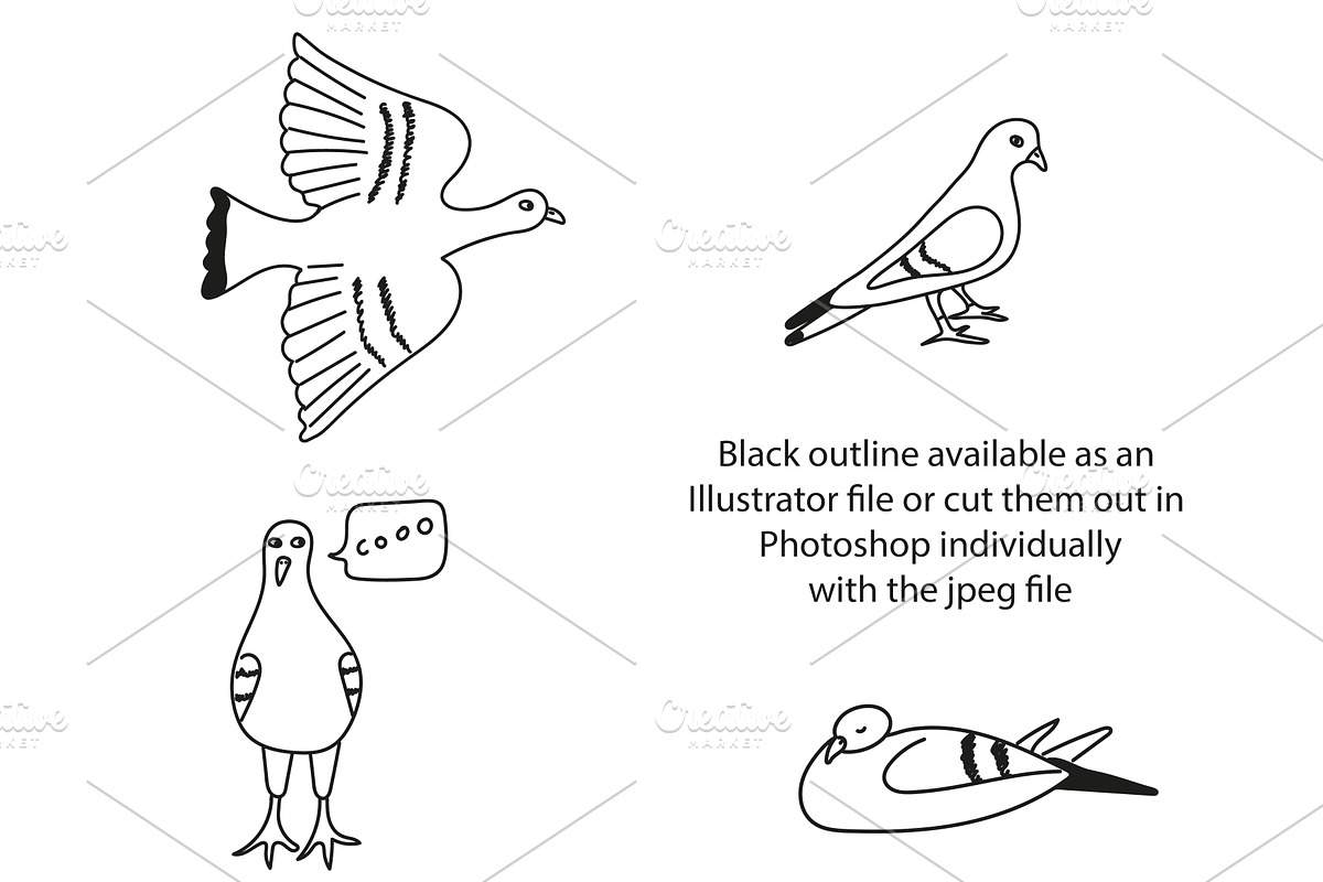 Cute doodle pigeons!, an Illustration by Liz Pengilley Studio (Photo 2 of 4)