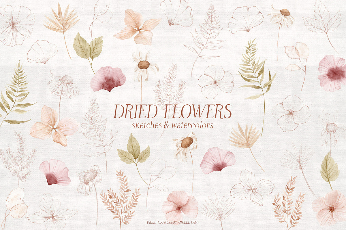 Dried flowers watercolor graphics, an Illustration by Angele Kamp (Photo 4 of 10)